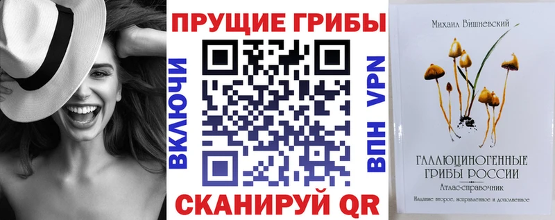 дарнет шоп  Починок  Псилоцибиновые грибы MAGIC MUSHROOMS 